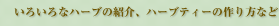 낢ȃn[ȕЉAn[ueB[̍Ȃ